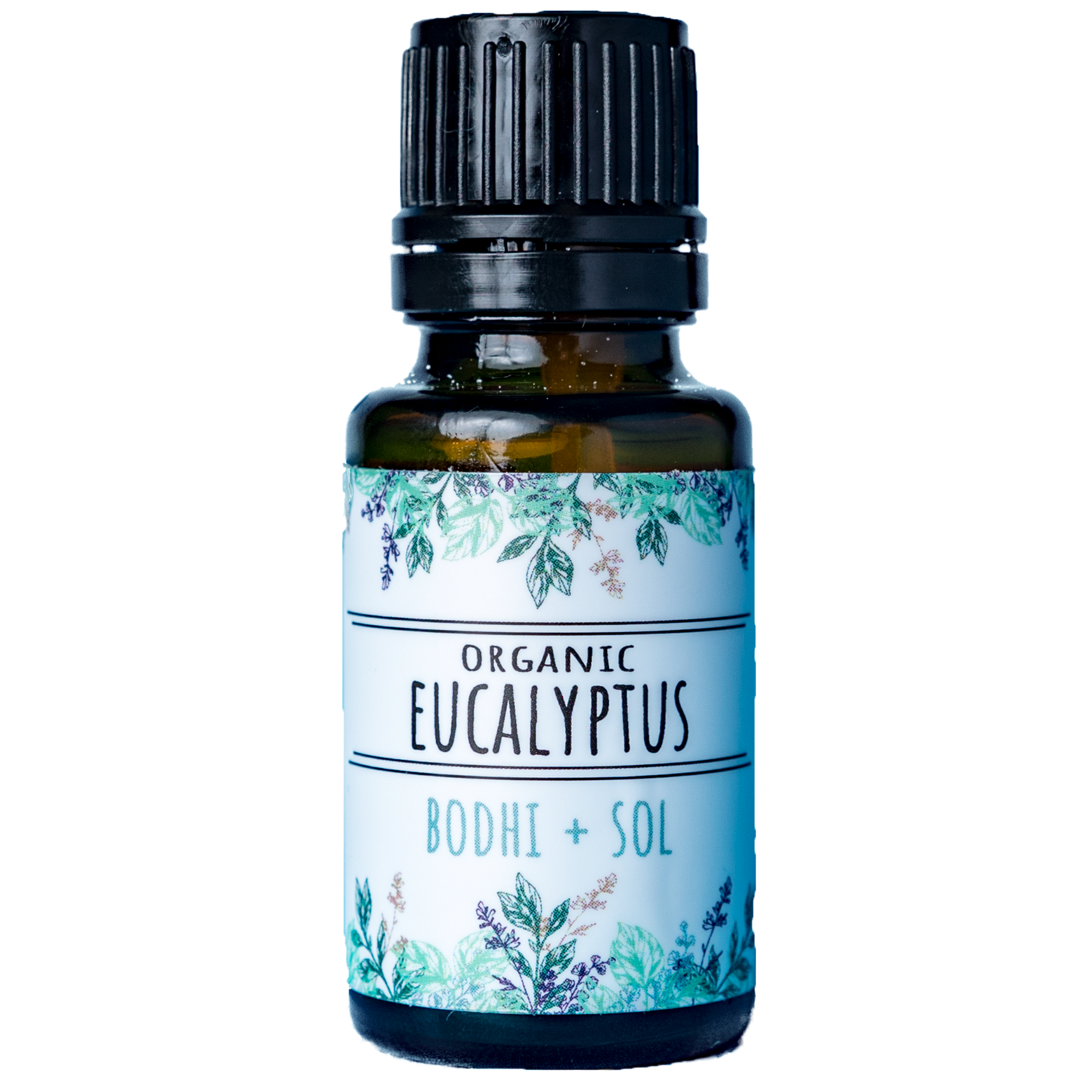 Organic Eucalyptus Essential Oil